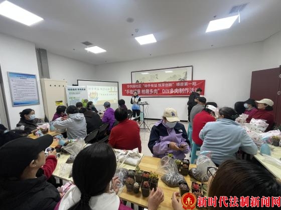 北京市通州区华悦园社区“手植绿意，拾趣多肉”