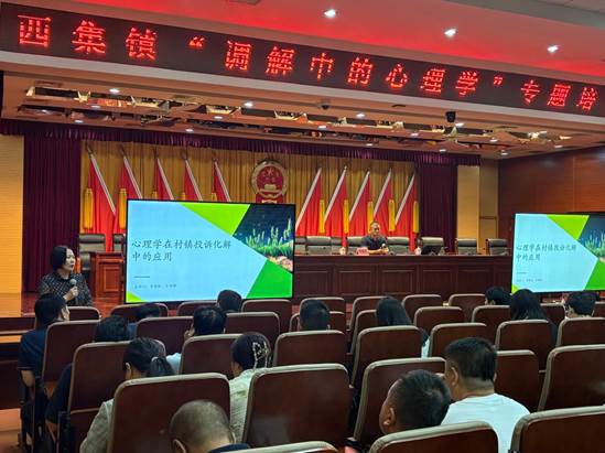 北京市通州区西集举办镇心理学赋能基层调解专题培训